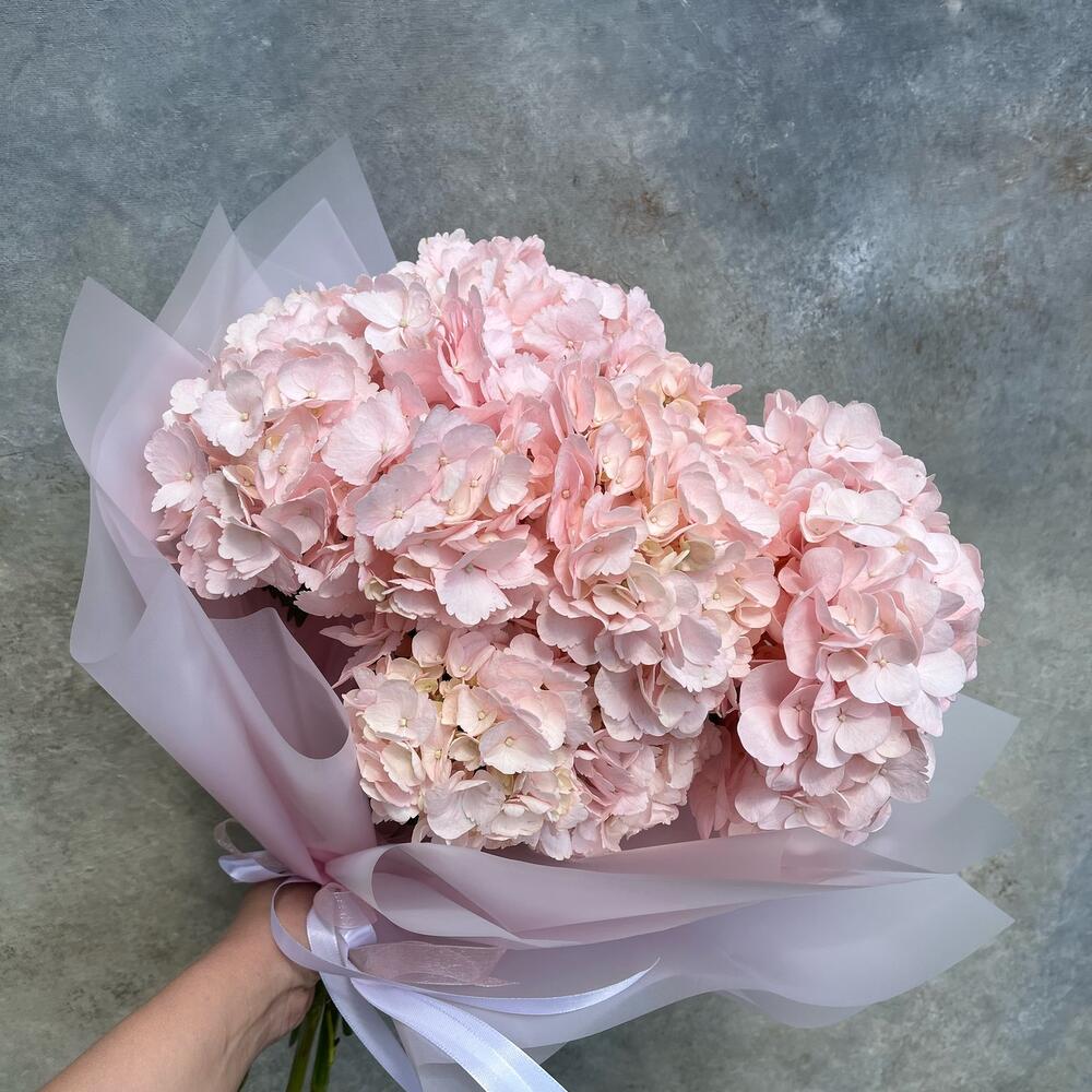 Пышность розовой гортензии Пышность розовой гортензии